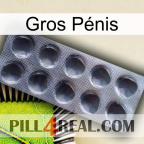 Gros Pénis 30